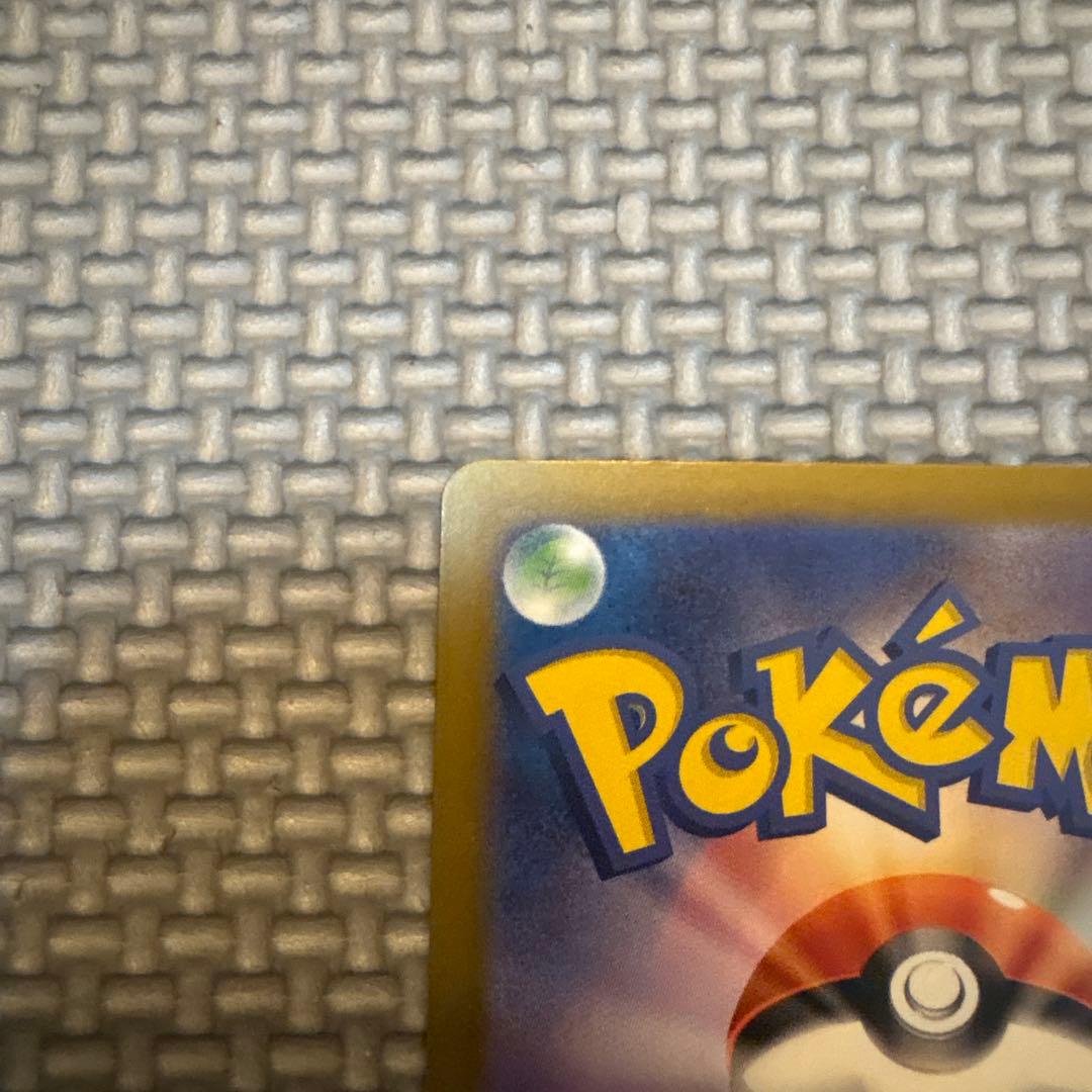 ポ*ブ様 メガカイリューex SAR