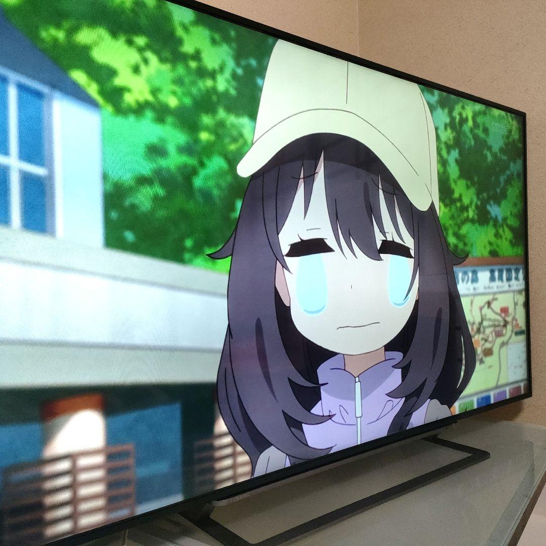 TOSHIBA[2016年製品]55G20X