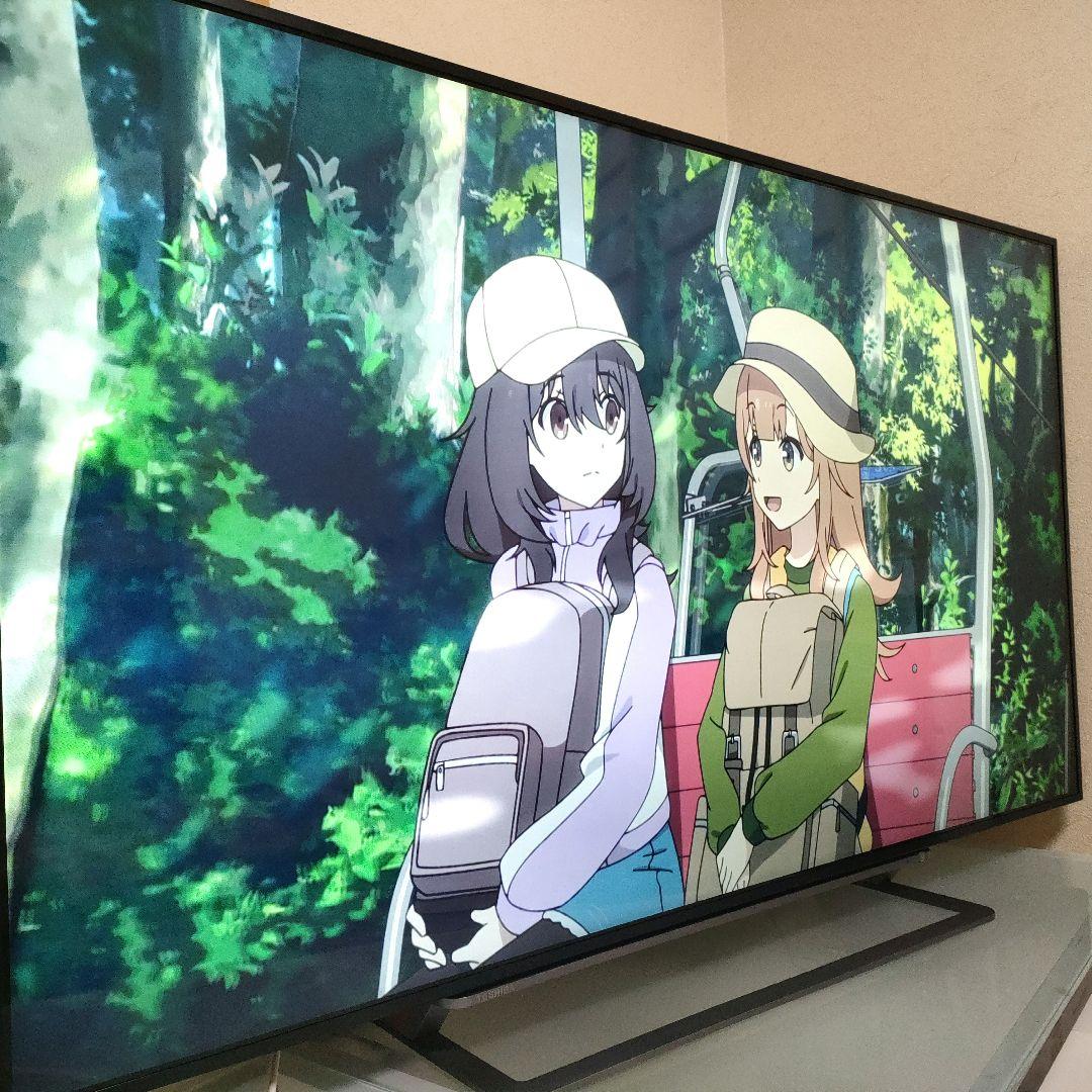 TOSHIBA[2016年製品]55G20X