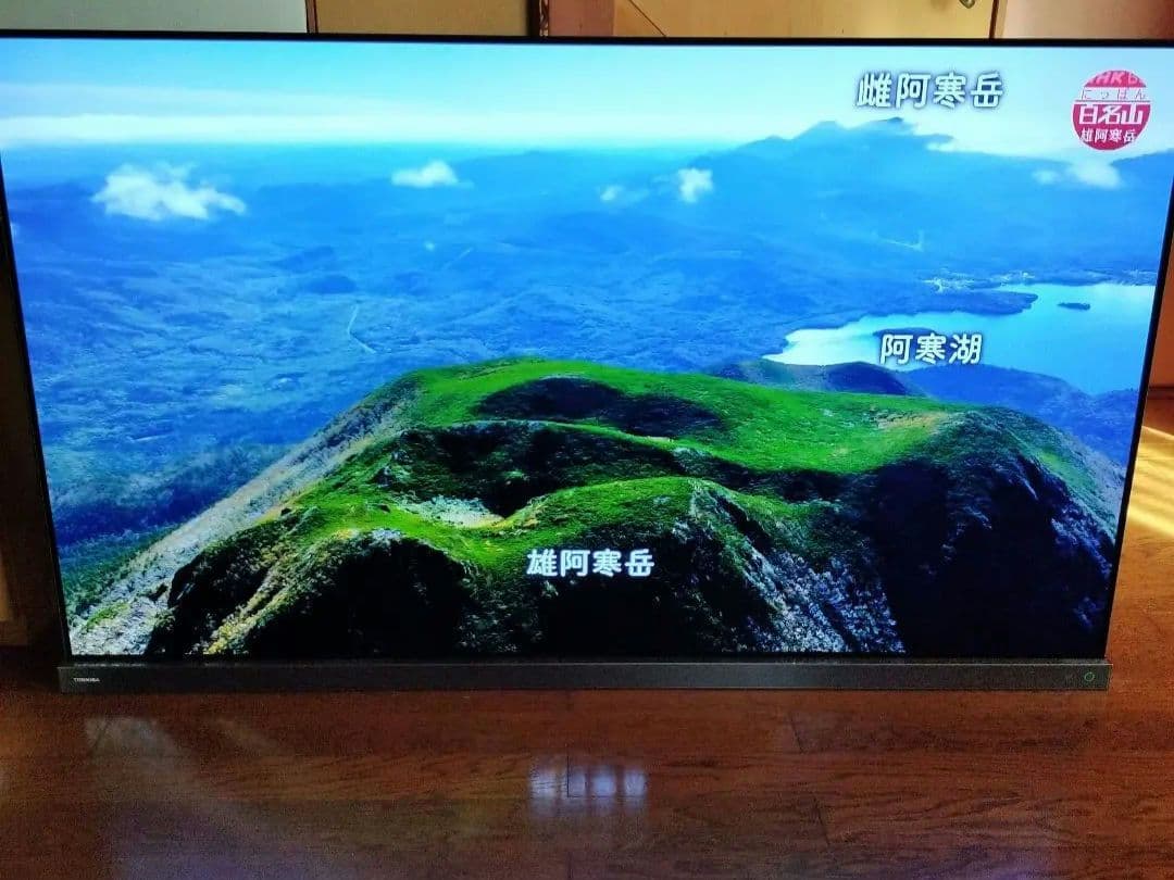 ☆引取無料☆REGZA有機EL/65X9400