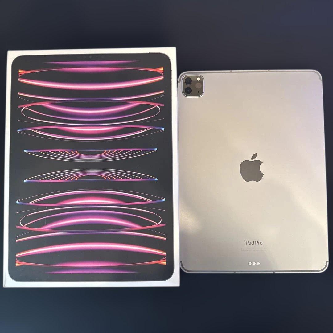 iPad Pro 11インチ 第4世代 wi-fi+cellular 256GB