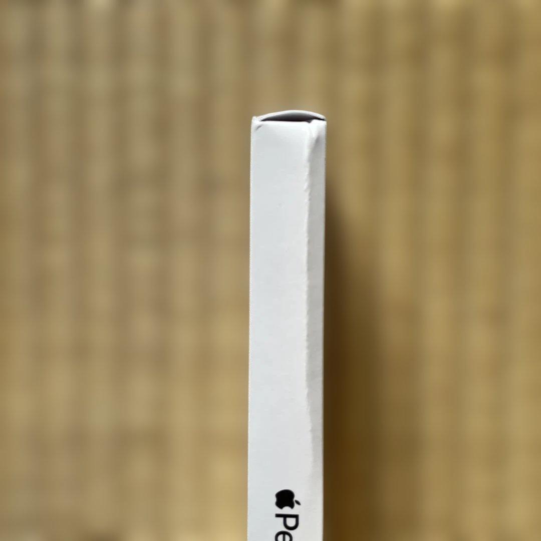 iPadアクセサリー Apple Pencill (USB-C)