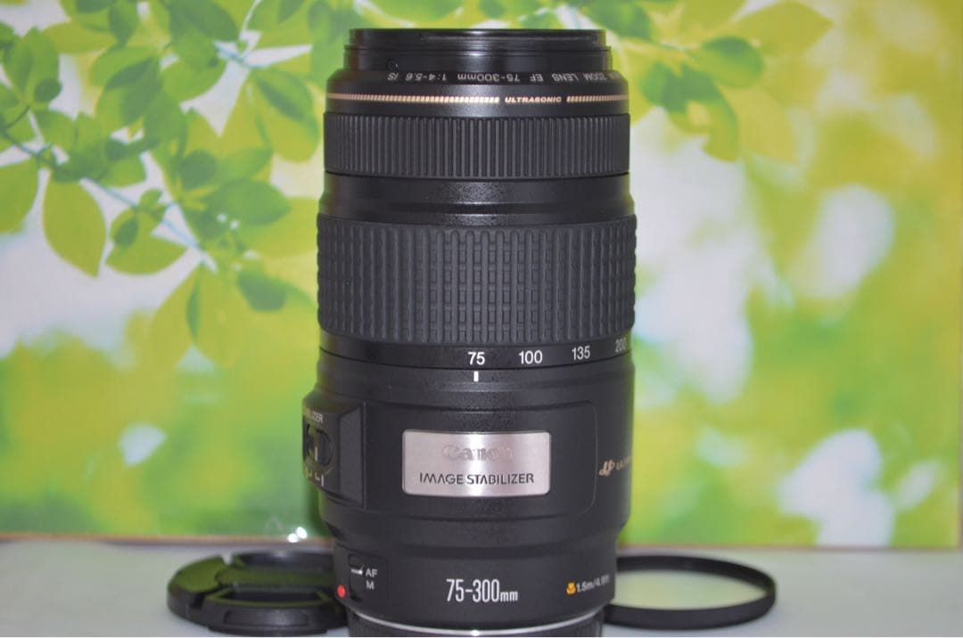 Canon EF 75-300mm IS USM☆望遠レンズ☆フィルター付