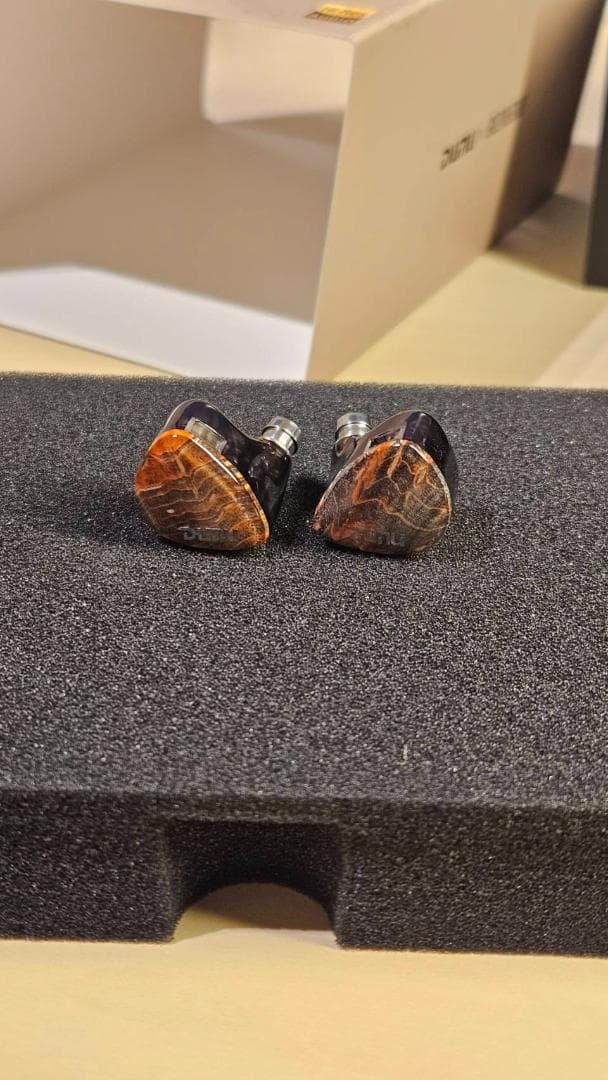 Dunu Davinci 美品／正規店購入・エージング済・使用2時間