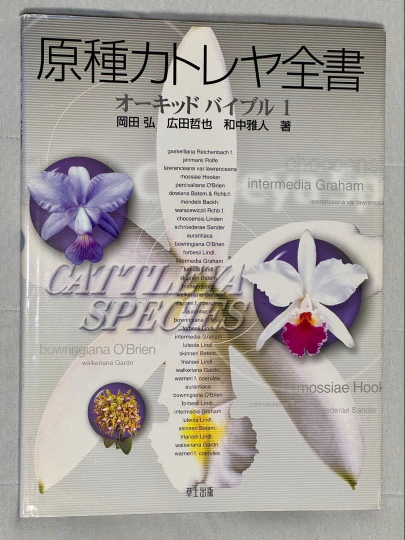 原種カトレア全書 オーキッドバイブル1