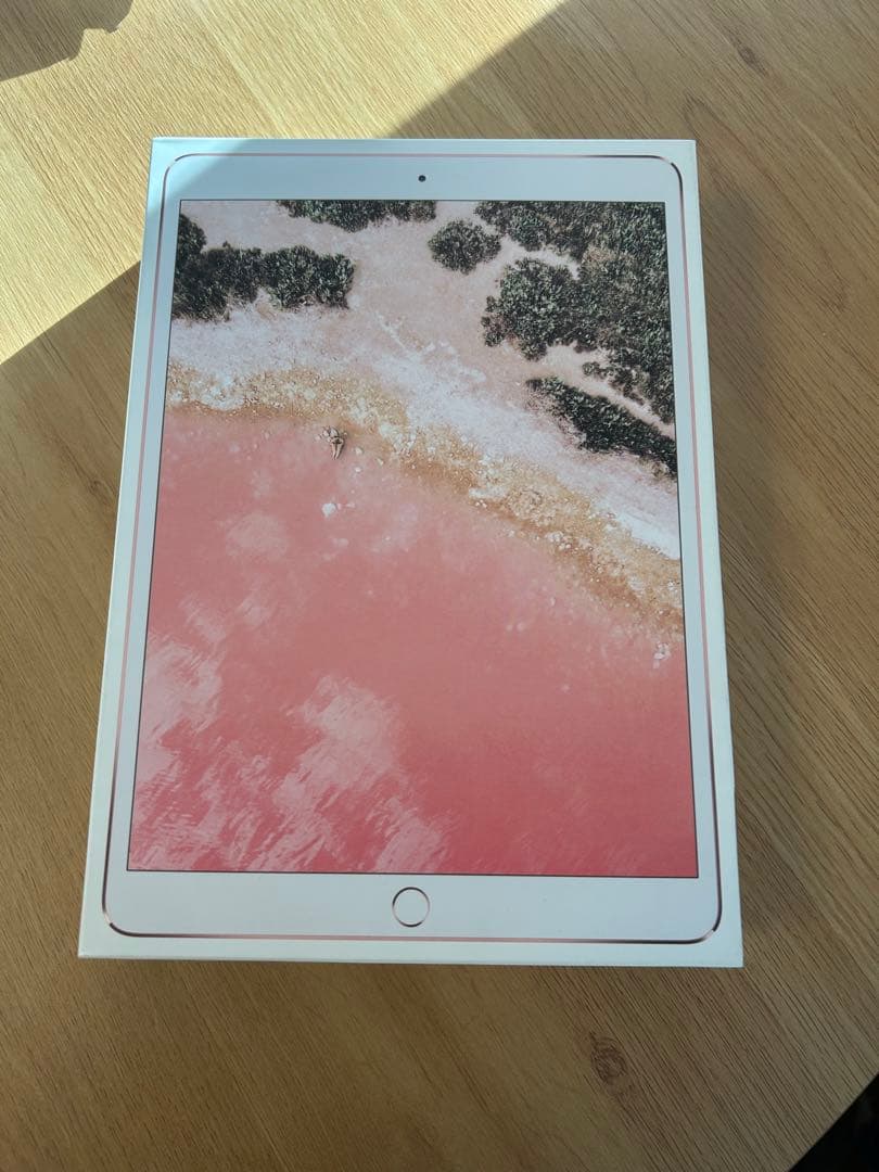 iPad Pro (10.5インチ)256GB Wi-Fi＋Cellular本体