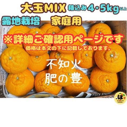 ※確認用　家庭用　大玉MIX箱込み4.5kg以上【露地栽培　不知火　デコポン】