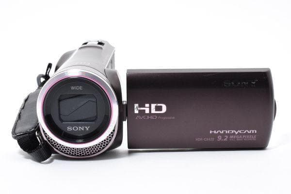 ソニー SONY Handycam HDR-CX420 デジタルビデオカメラ