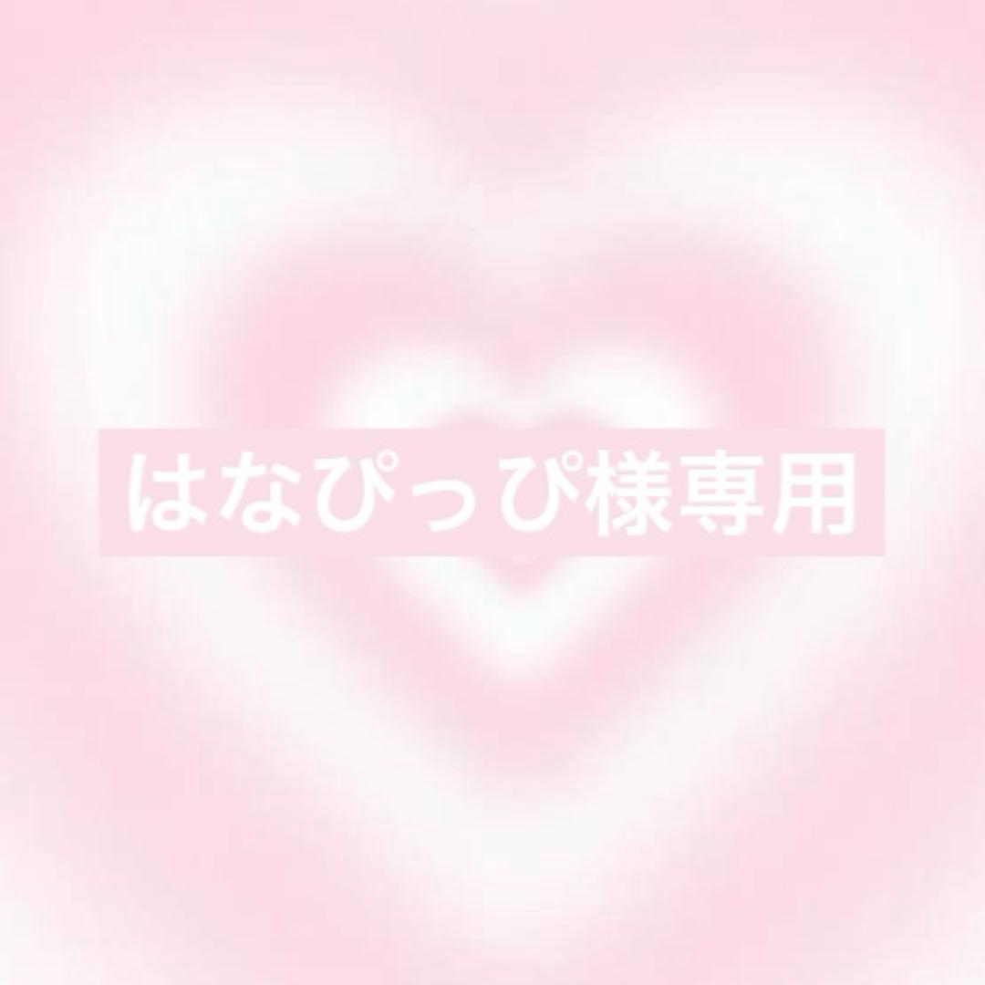 はなぴっぴ様オーダー4点お急ぎ制作1/30