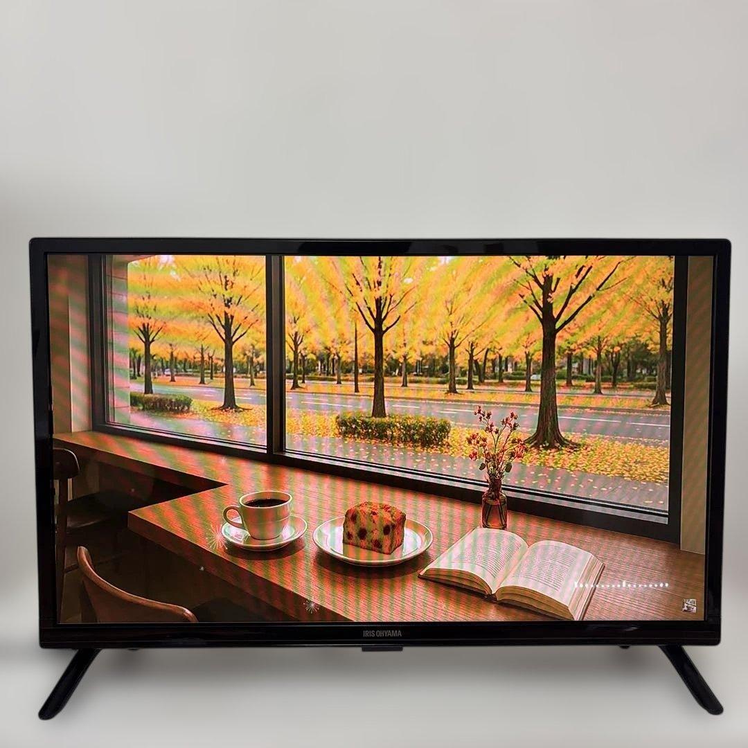 アイリスオーヤマ 24V型 液晶テレビ 24WB10 ハイビジョン