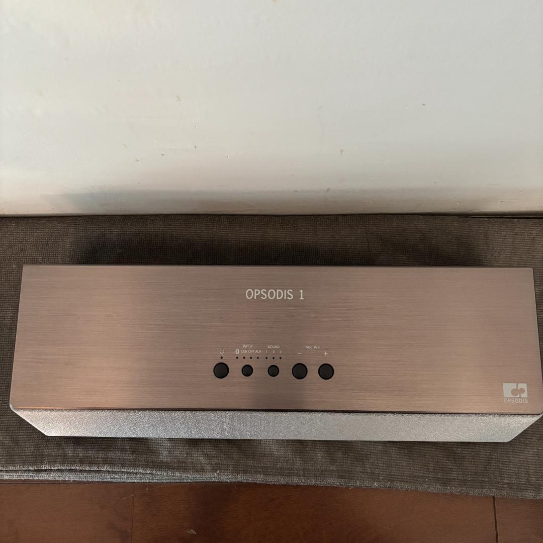 OPSODIS 1 鹿島建設　(シルバー)