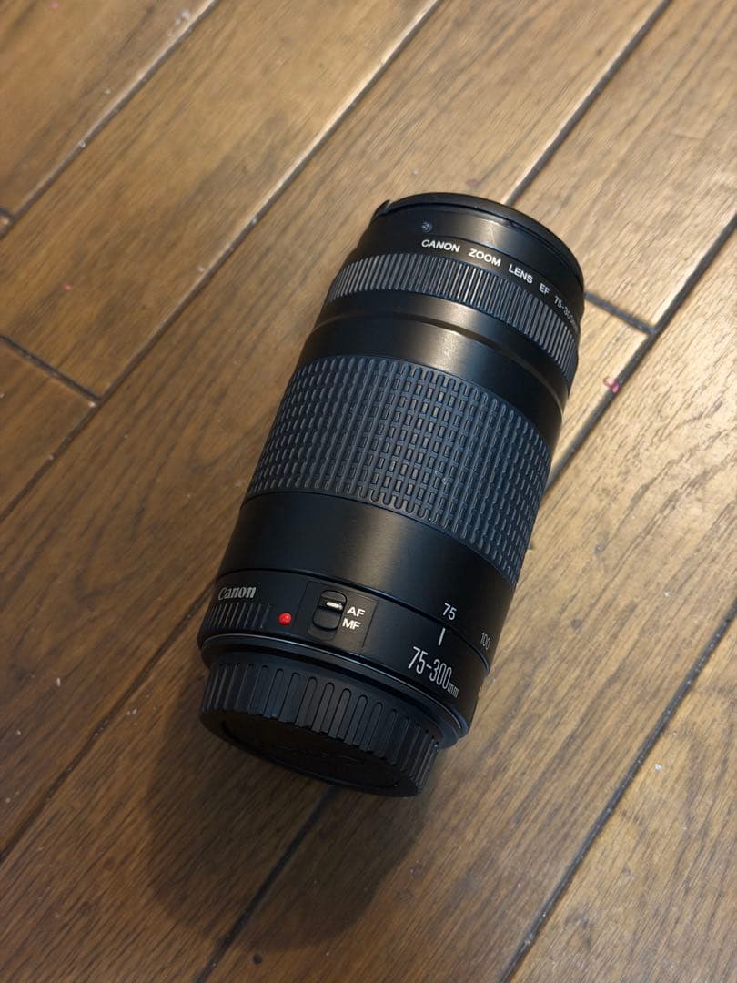 Canon EOS 5D Mark IV モニターに不備あり