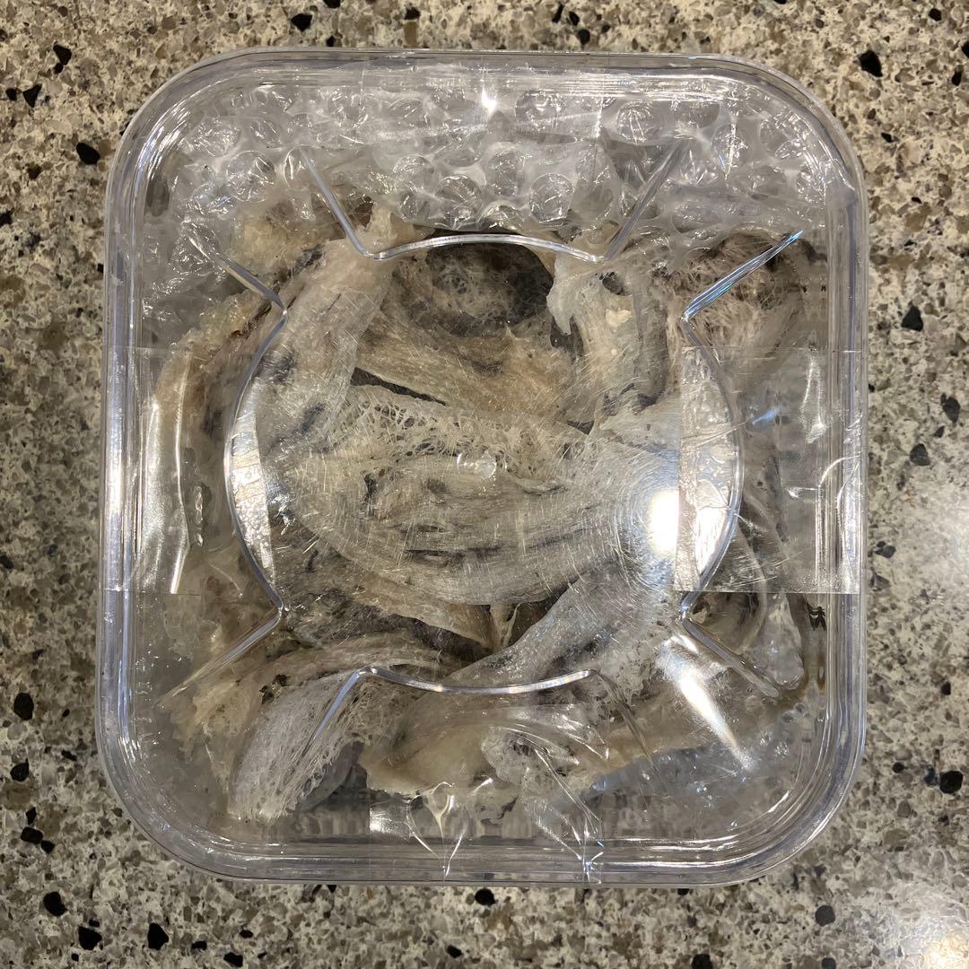 う*み様 ツバメの巣