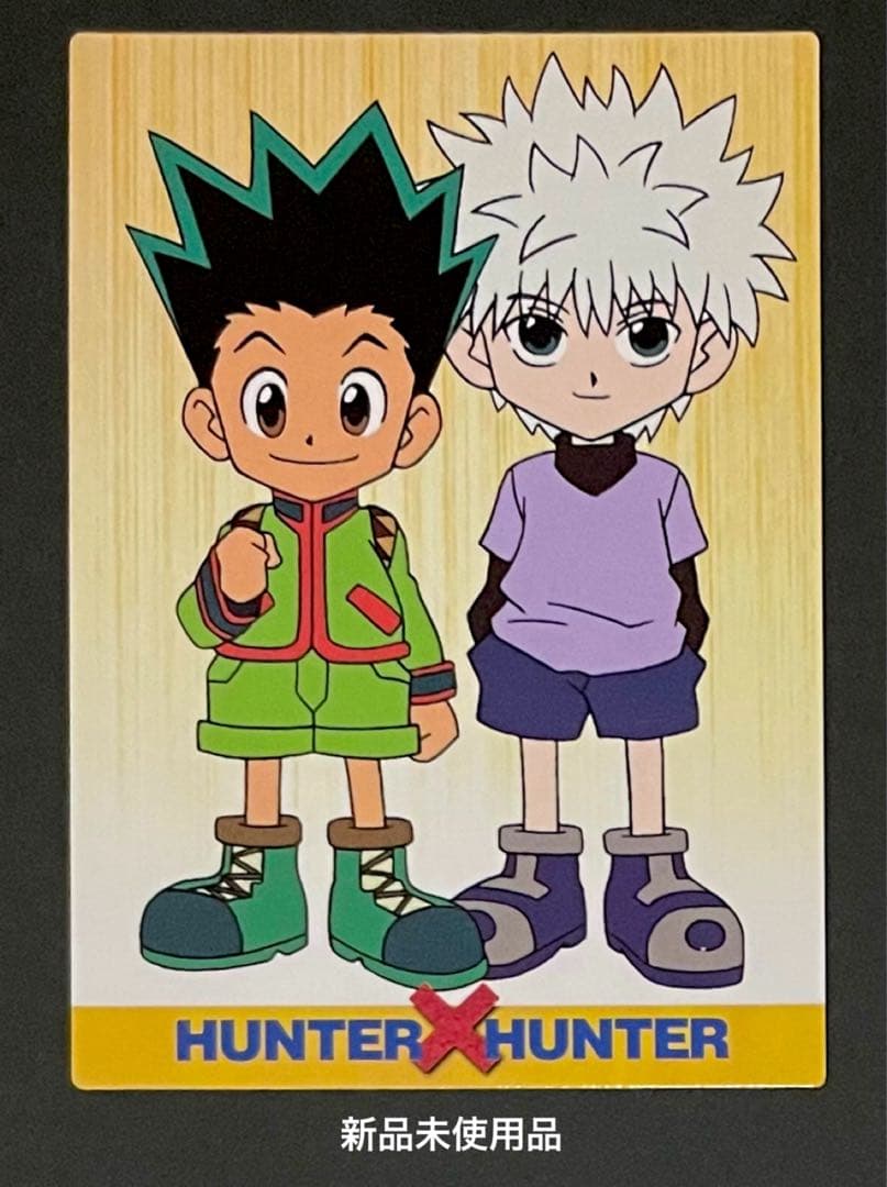 HUNTER×HUNTER カードダスマスターズ No.79 ゴン& キルア