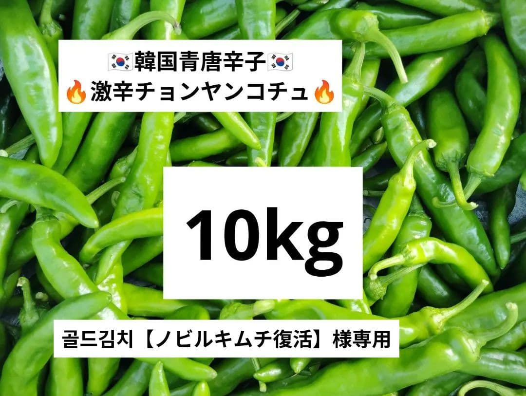 골드김치【ノビルキムチ復活】☆韓国青唐辛子☆激辛チョンヤンコチュ☆10キロ