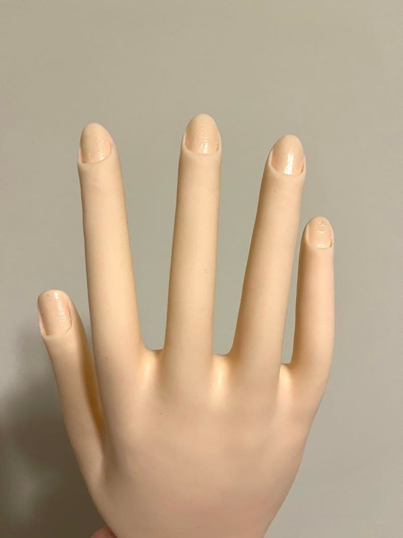 MODEL HAND ネイルアート検定用