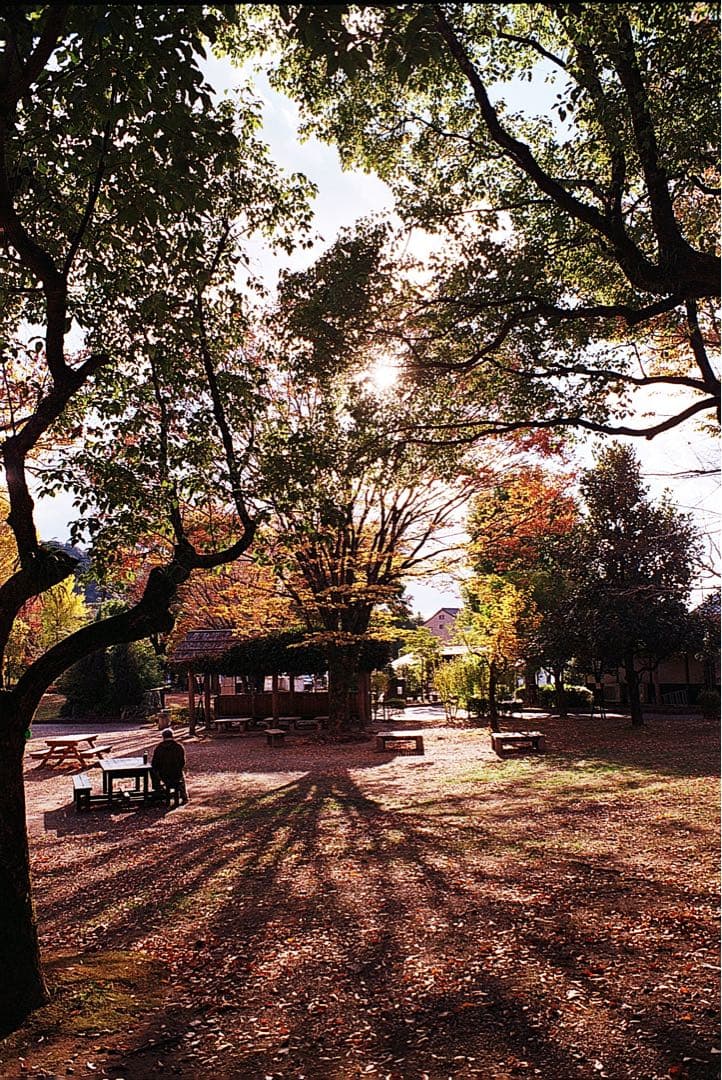 Pentax Spotmatic SPF 35mmフィルムカメラ(断捨離中)