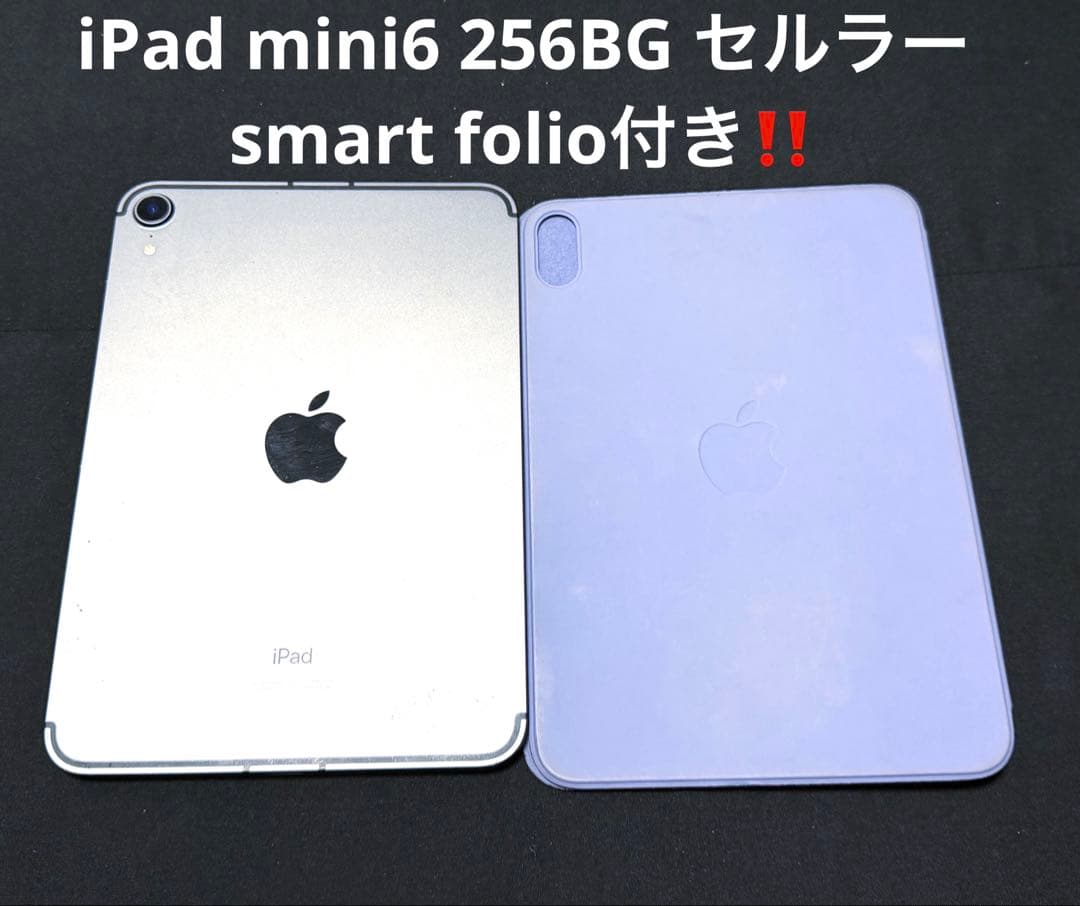 iPad mini6 256GB セルラー　値下げ可能‼️