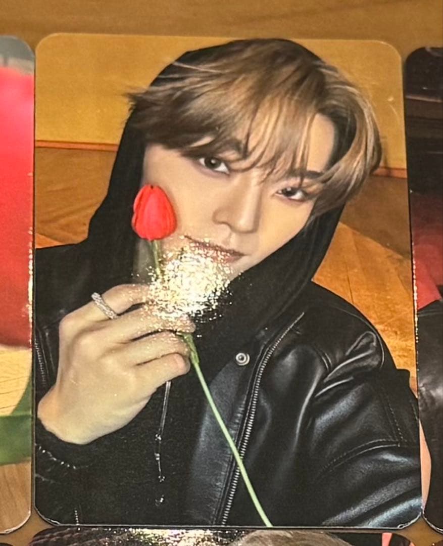 ALD1 サノク　トレカ　シンロン