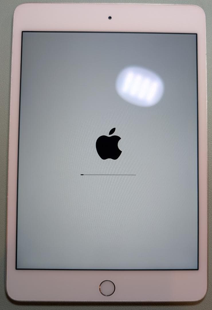 ★美品★ iPad mini 4 128GB バッテリー容量83%!