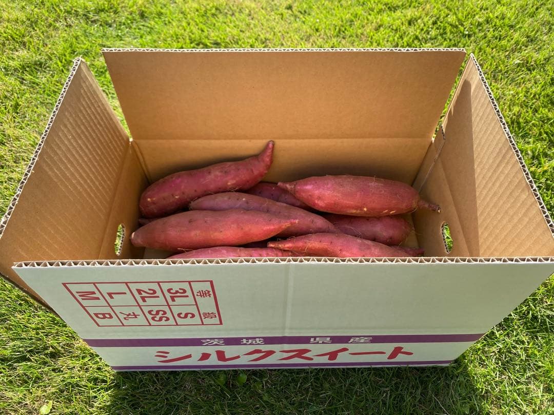 茨城県産シルクスイートM20キロ　MEVIUS品