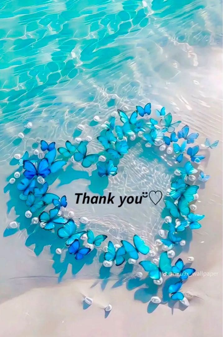 ❤️ .°⑅ʚたんぬɞ⑅°.さま❤️