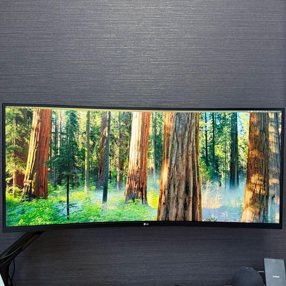 35WN75C-B LG 35型 21:9 曲面ウルトラワイドモニター ジャンク