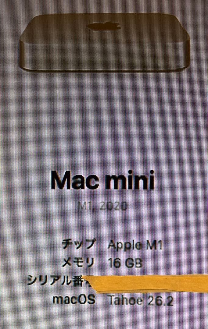 Mac mini Apple M1チップ カスタマイズモデル