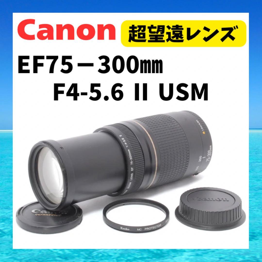 遠くもバッチリ⭐️超望遠レンズ⭐️Canon EF75-300 Ⅱ USM⭐️