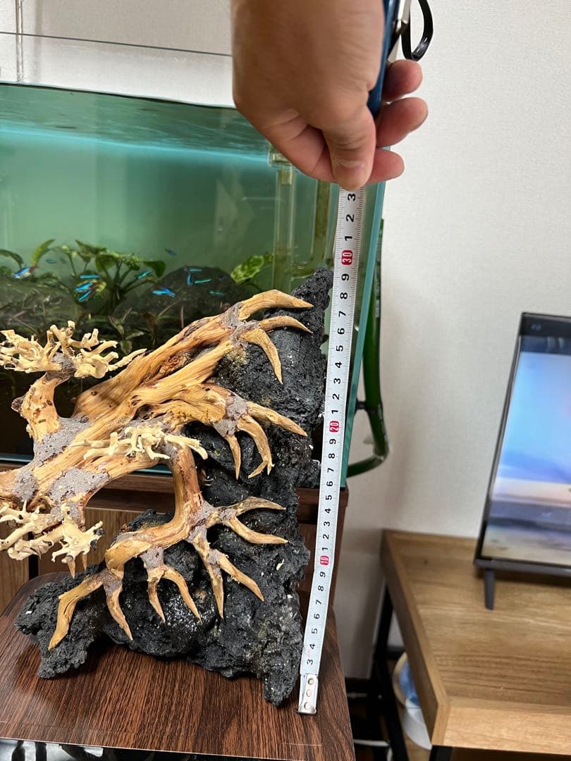 盆栽流木　流木　アクアリウム。ミニ盆栽