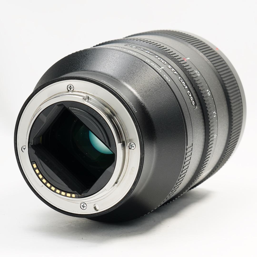 【唯一無二】SONY SEL100F28GM 単焦点　イルミの帝王