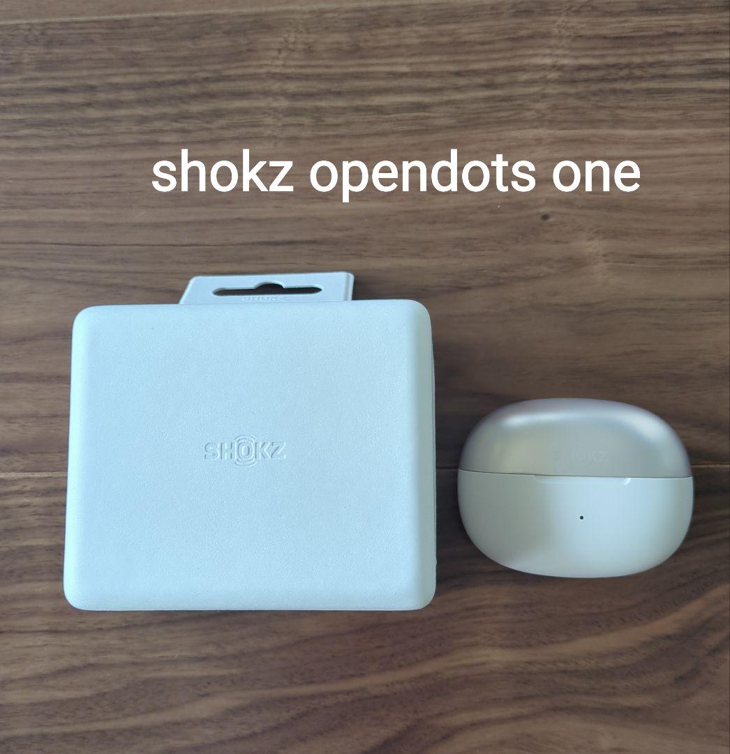 Shokz opendots one★イヤーカフ型オープンイヤーイヤホン★グレー