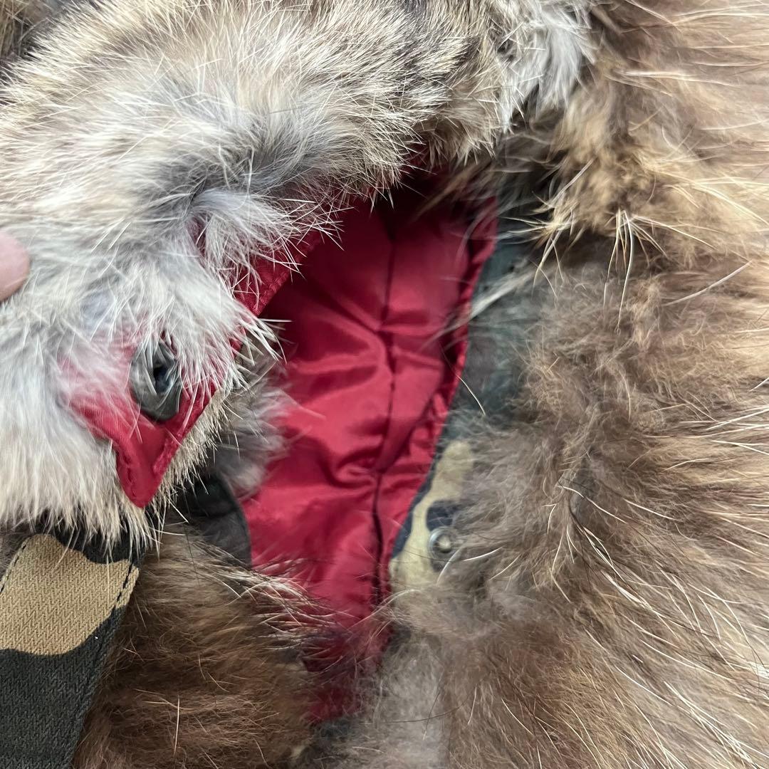 専用✨D&Gドルチェアンドガッバーナ迷彩カモフラ柄モッズコートXS相当イタリア製