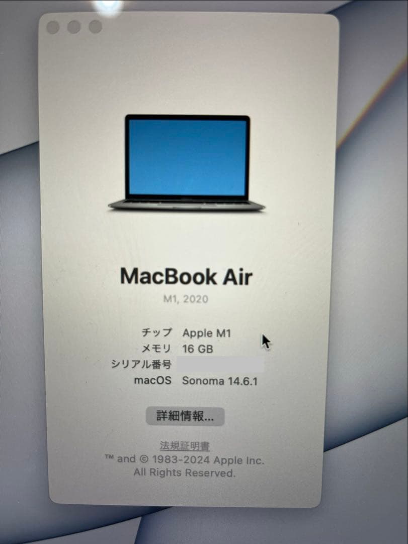 【おさかなチンパンジー】MacBookAirシルバー M1 2020 本体