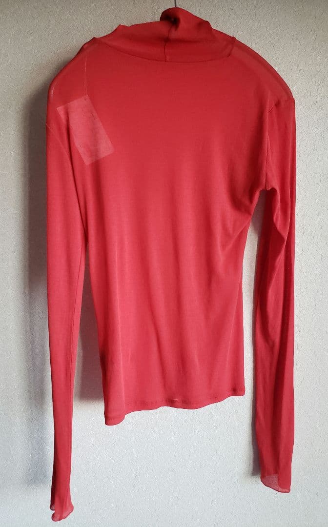 スタニングルアー インナーカラータートル