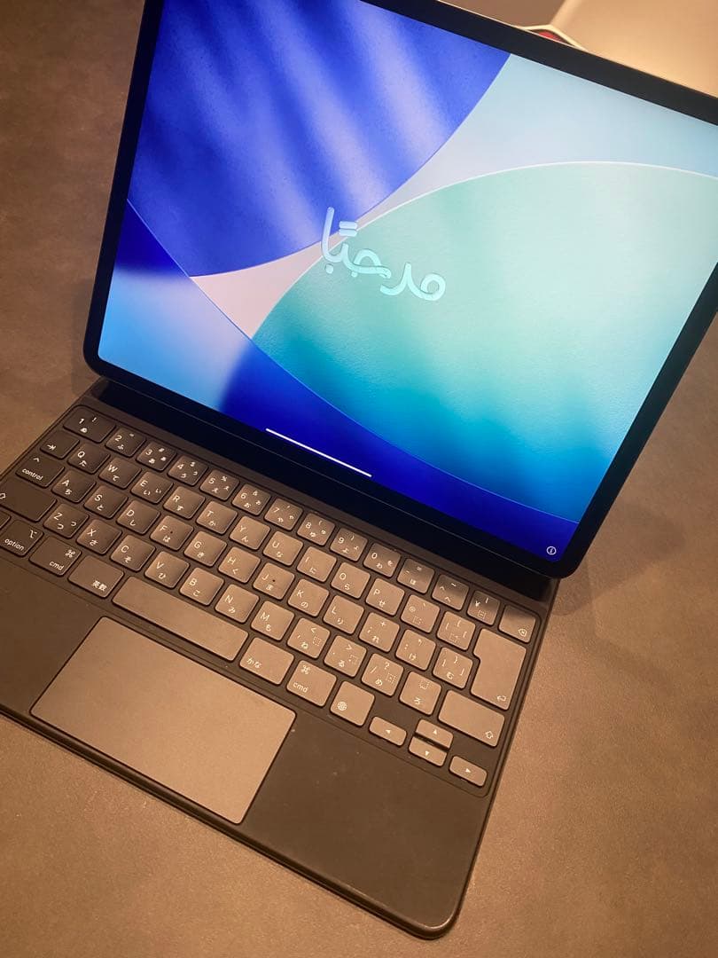 iPad Pro 12.9 第4世代 128GB + magickeyboard