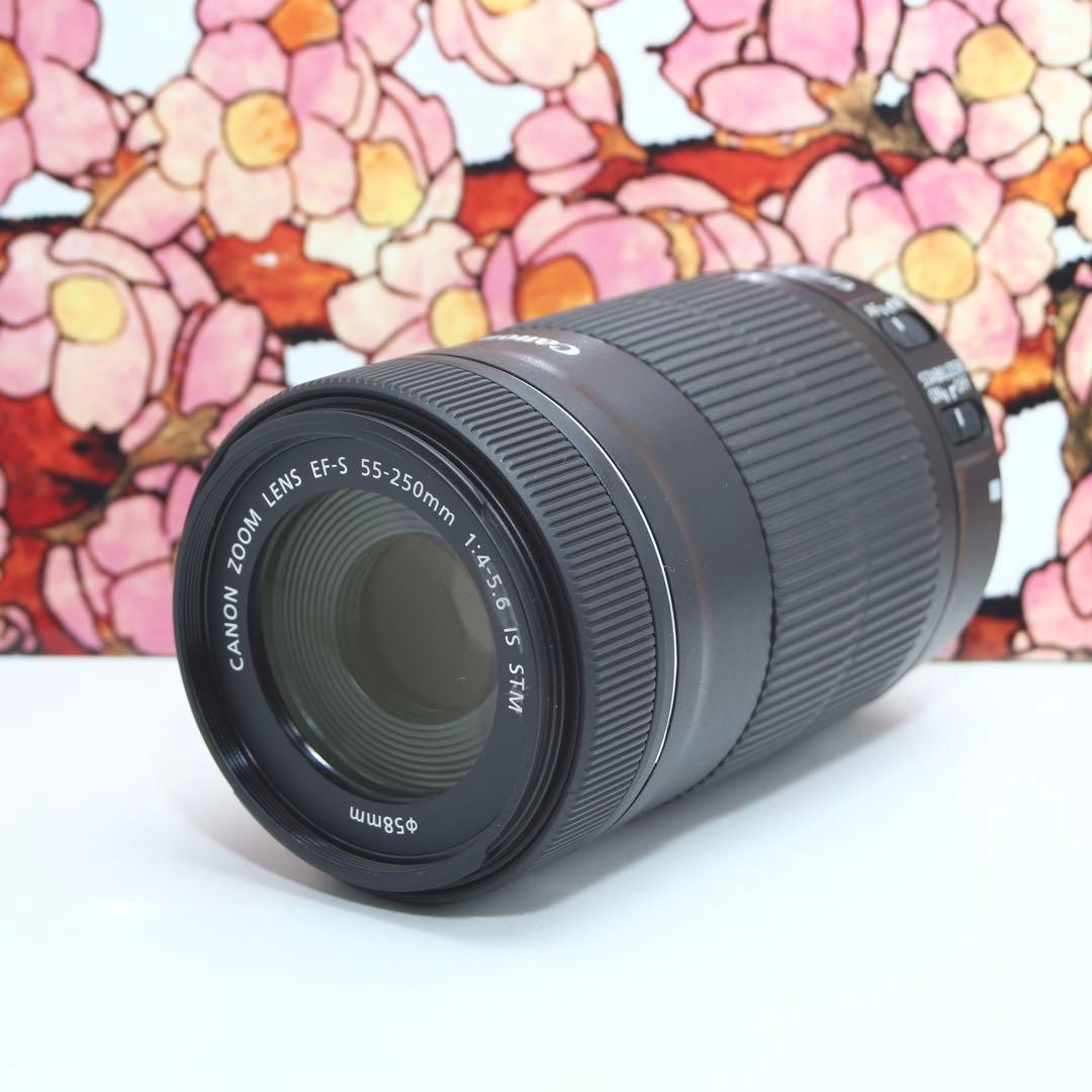 ❤️高性能望遠レンズ❤️Canon EF-S 55-250mm IS STM❤️