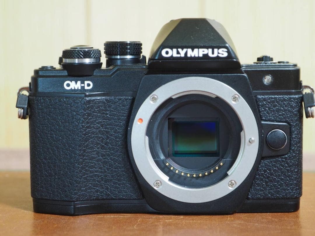 y*o様 【ジャンク】OM-D E-M10 Mark II 　ボディ　S数302