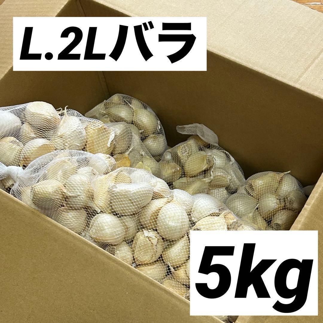【大特価】青森県産 にんにく L.2Lバラ5kg 福地ホワイト 免疫力up