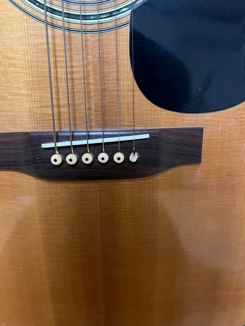 YAMAKI ヤマキ YW40M 縦ロゴ アコースティックギター アコギ