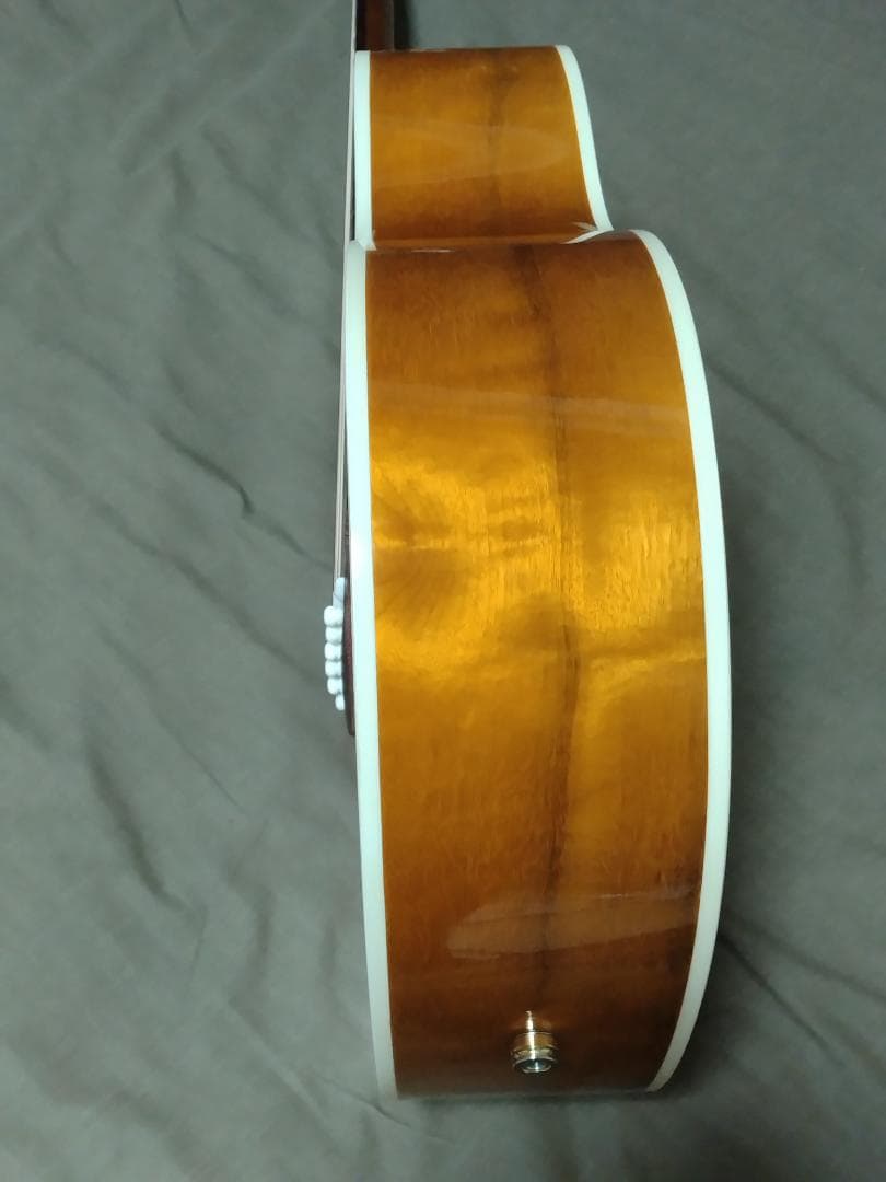 【楽器店で点検済み・超美品】Headway HTJ-SAKURA 桜ギター