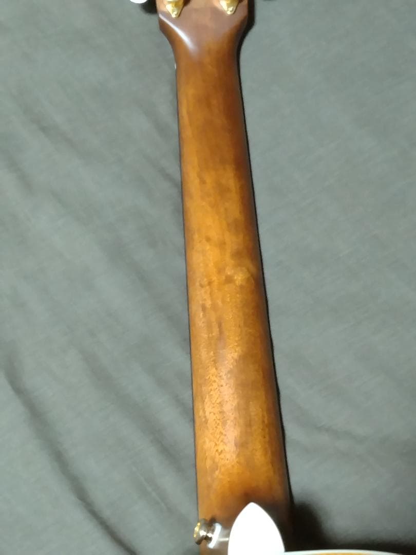 【楽器店で点検済み・超美品】Headway HTJ-SAKURA 桜ギター