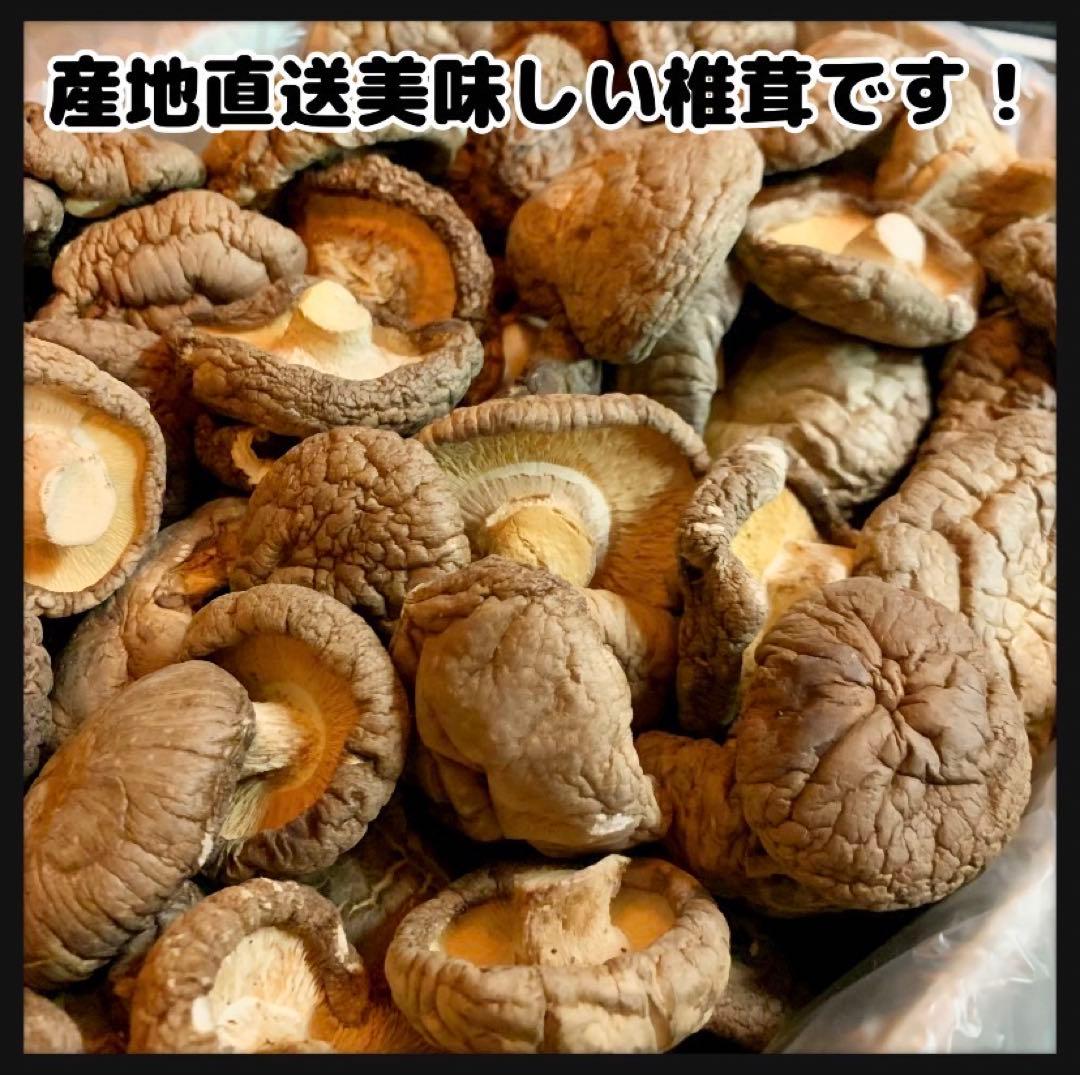 【産地直送】 乾燥椎茸　1kg 業務用　しいたけ　岩手県産　東北の味　お買い得