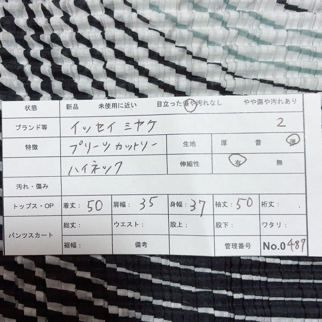 イッセイミヤケ 波模様 長袖 プリーツ カットソー ハイネック 薄手