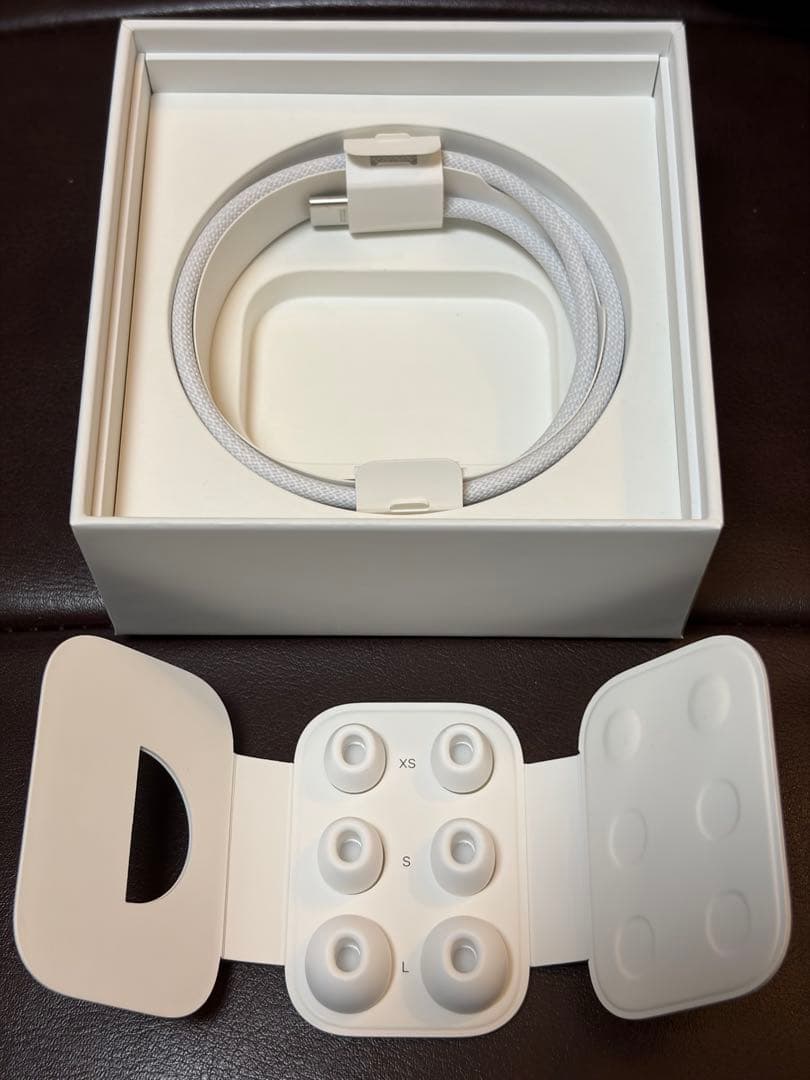 AirPodspro2【Type-C】