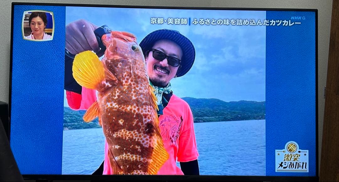 きつつき　REGZA 40V35N 40V型　リモコン付属】