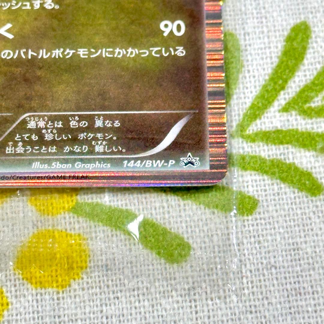 ポケモンカード 黒いレックウザ レックウザ 信長の野望 未開封