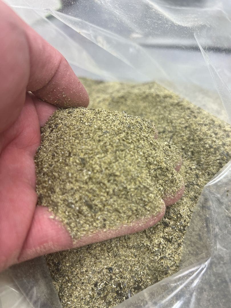 日高昆布　専用fuji様　 限定セール5kg