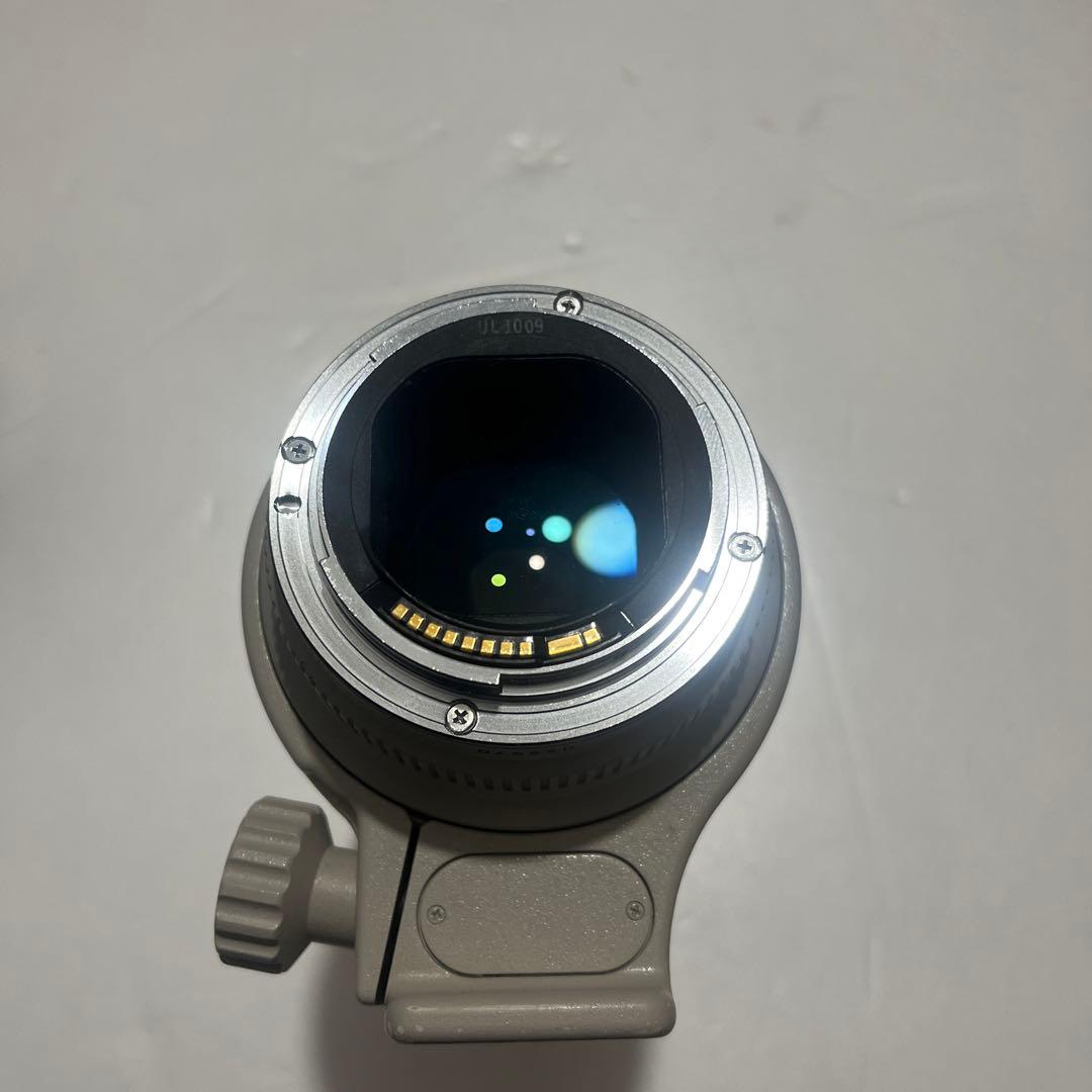 レンズ(ズーム) Canon 70-200mm F2.8