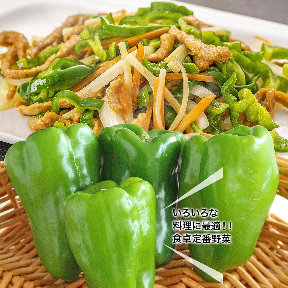 野菜セットA（キャベツ5玉・ピーマン約2.5kg・にんじん約5kg） 3種セット